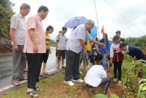 VP - Trường THPT Búng Lao ra quân trồng 200 cây Ban trên tuyến quốc lộ 279