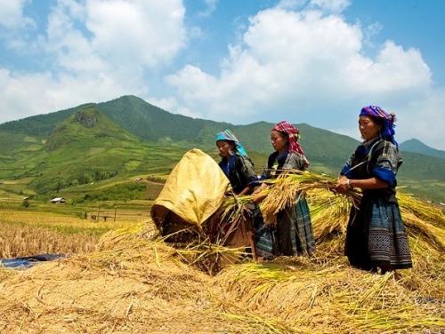 KHTC- Hỗ trợ định canh, định cư cho đồng bào dân tộc thiểu số